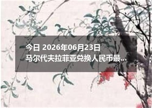 今日 2026年06月23日 马尔代夫拉菲亚兑换人民币最新汇率行情