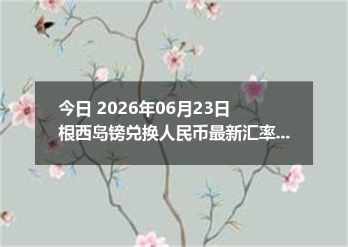今日 2026年06月23日 根西岛镑兑换人民币最新汇率行情