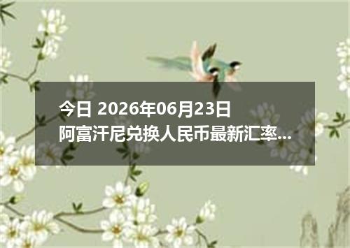 今日 2026年06月23日 阿富汗尼兑换人民币最新汇率行情