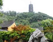 蒙城天气预报15天